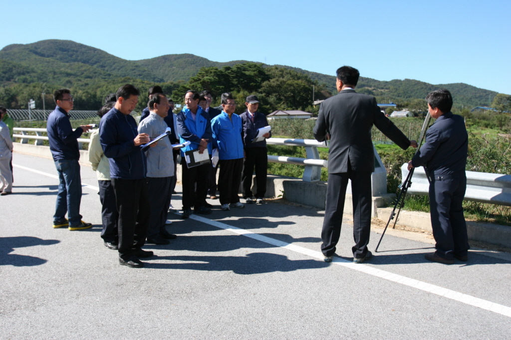 명품가로수 조성사업
