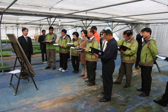 대률리 국화시범단지 사업장답사