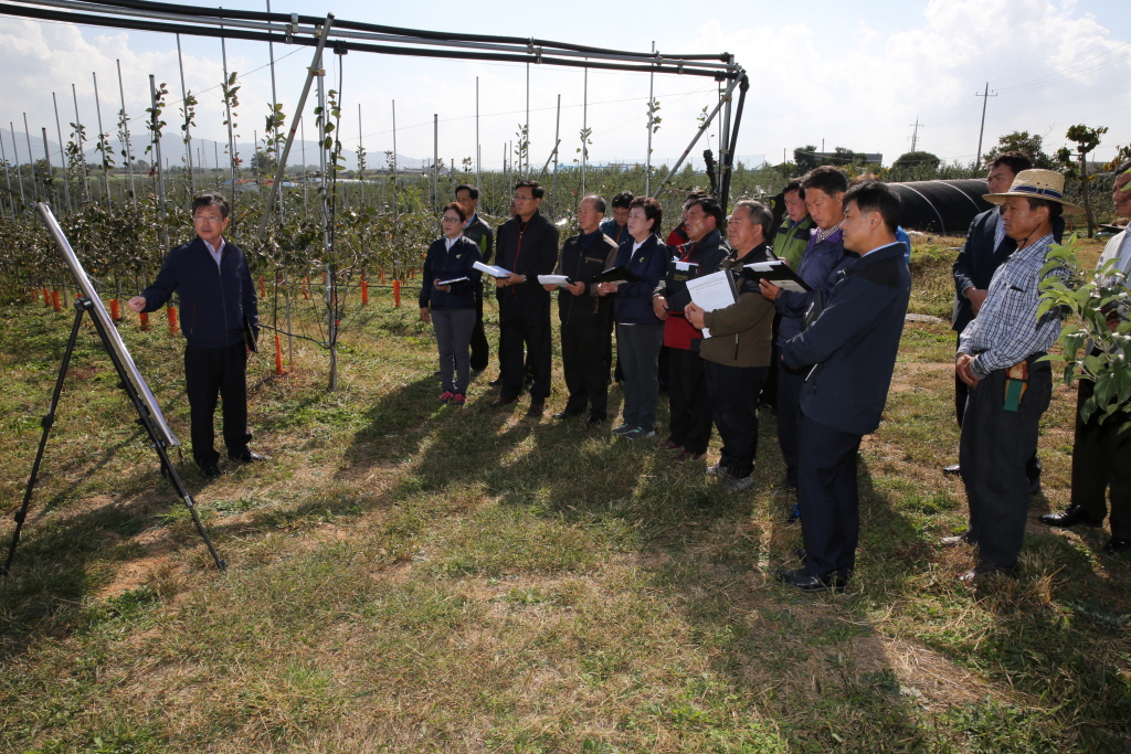 예산사과수출단지 조성사업