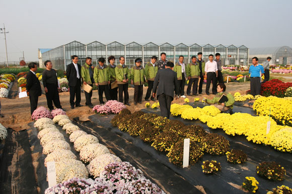 오가면 역탑리 국화시험장