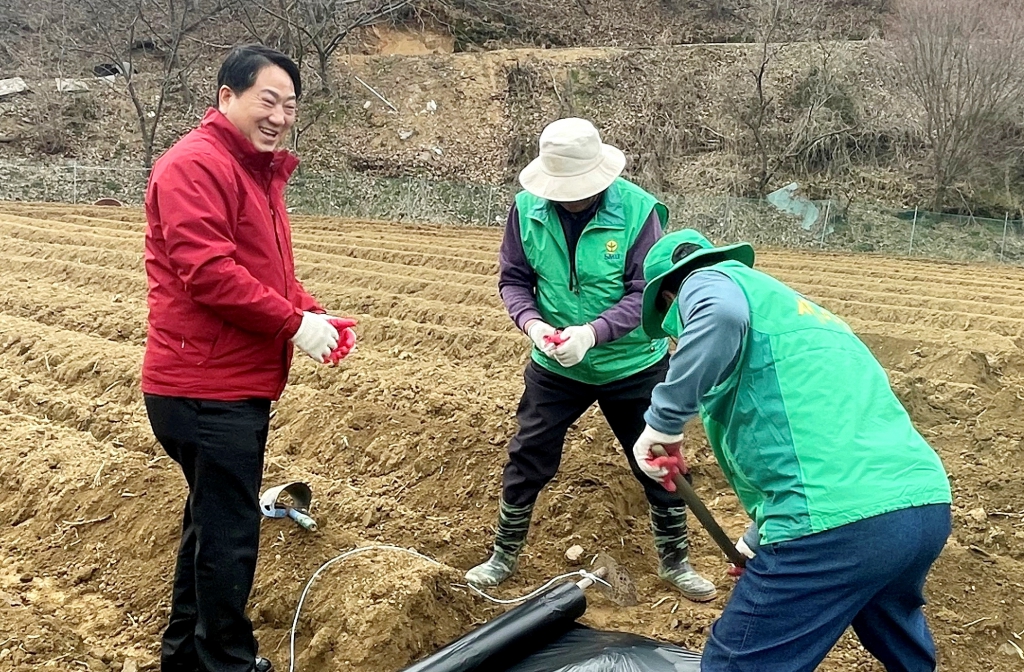 대술면 새마을협의회 사랑의 감자 심기 행사 참여