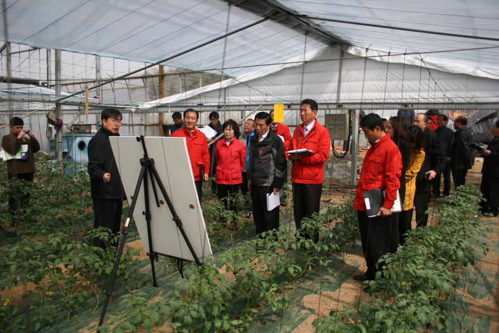 시설원예 에너지절감시범사업장 답사