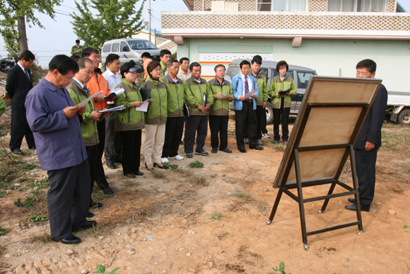 신암면 계촌리 블루베리 재배현장