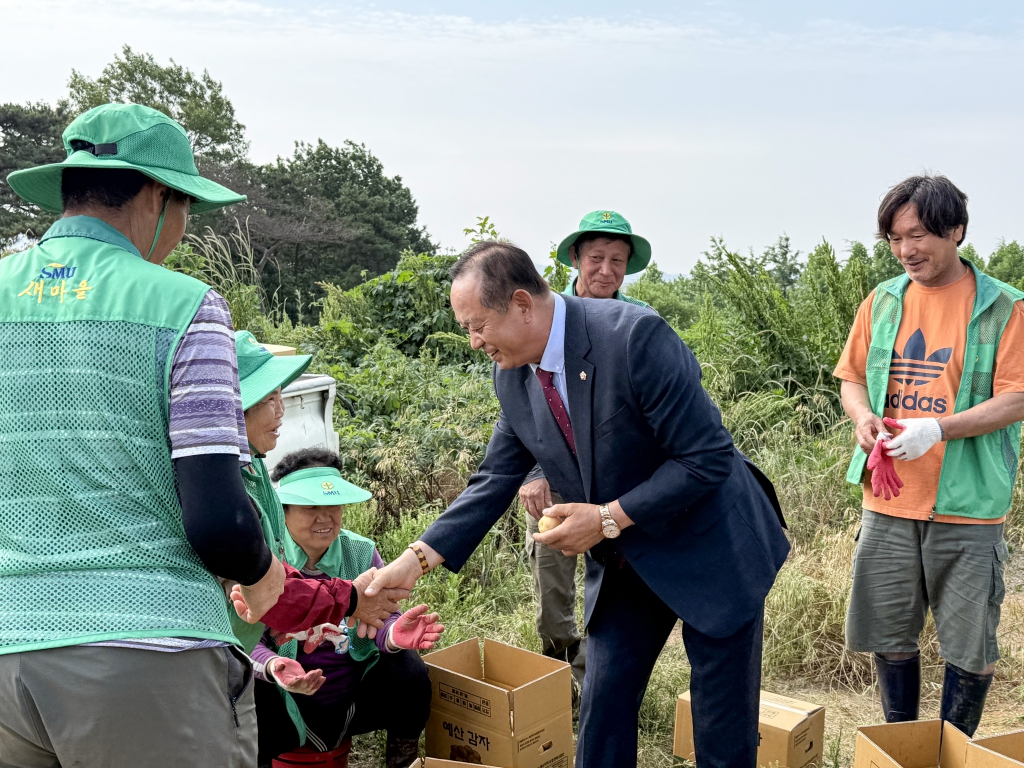 오가면 새마을남녀지도자협의회 감자캐기 행사