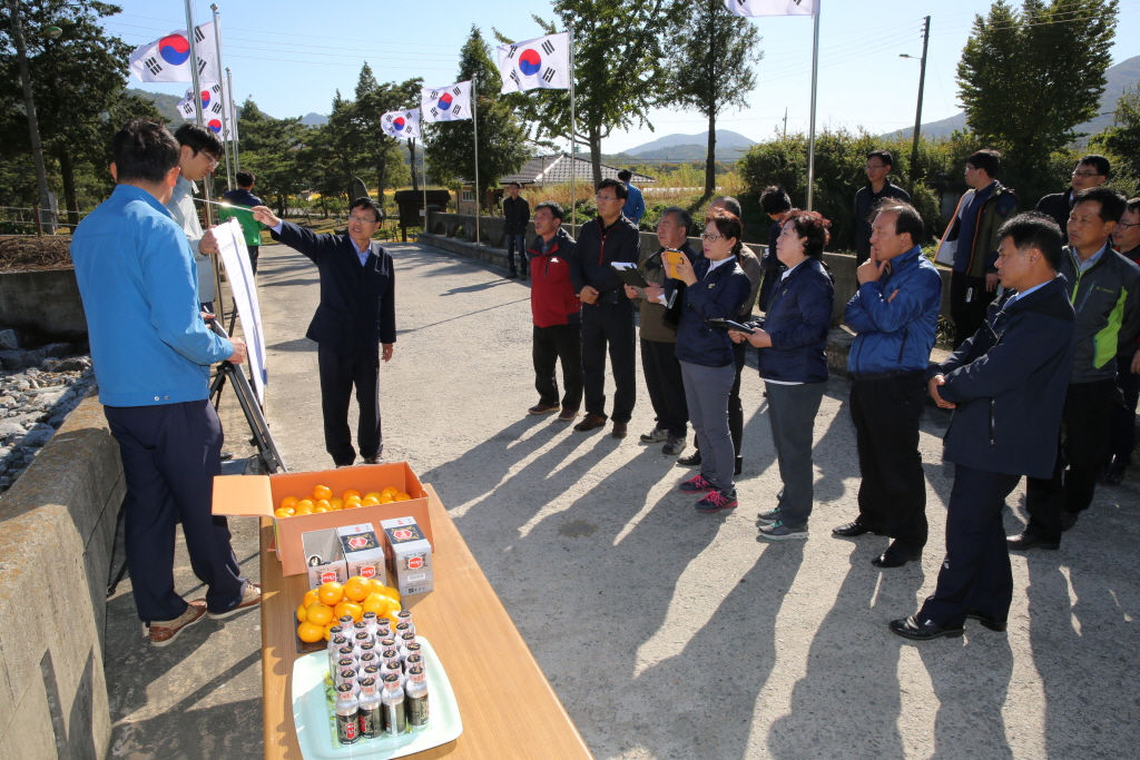 덕산 대치천 생태하천복원사업